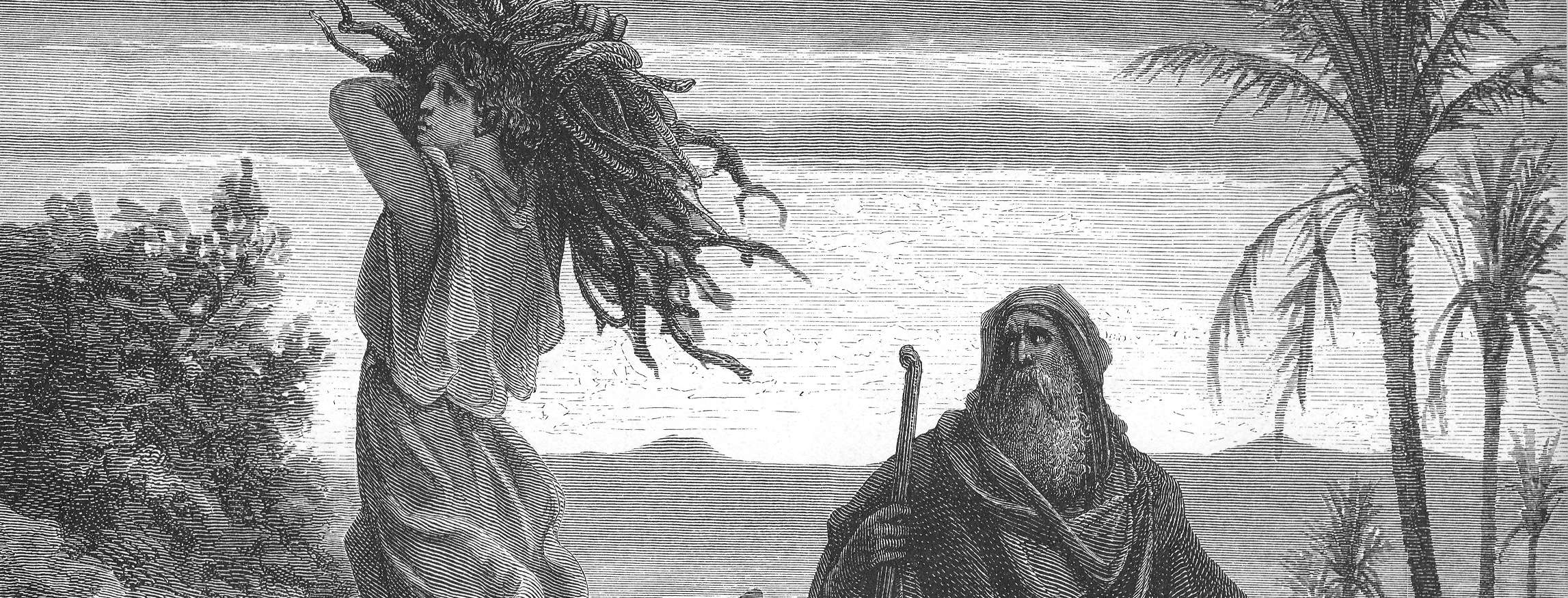 Abraham's Seed